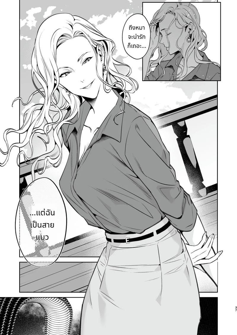 งูและแมงมุม